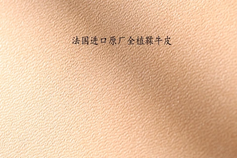 进口原厂皮料工厂实拍第 7 张实拍
